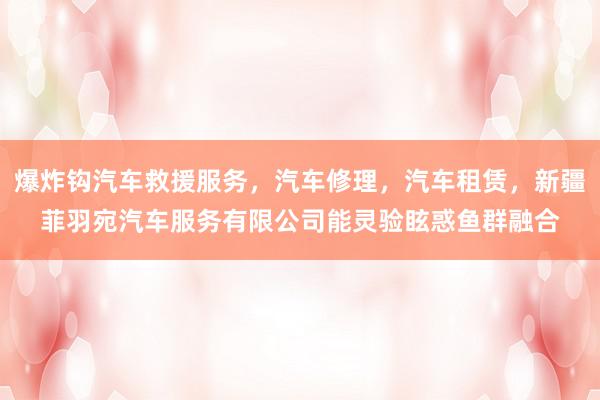 爆炸钩汽车救援服务，汽车修理，汽车租赁，新疆菲羽宛汽车服务有限公司能灵验眩惑鱼群融合